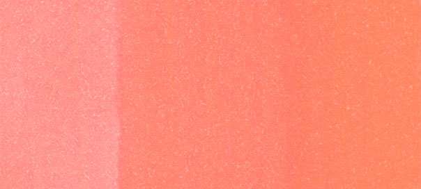 R43 - Bougainvillaea